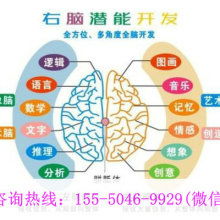 廈門學之源科技開發公司 專注早教教材與幼教產品，引領信息技術咨詢服務