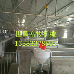 養(yǎng)豬設備廠供應自動下料桶 生產廠家、價格解析與羊場應用前景